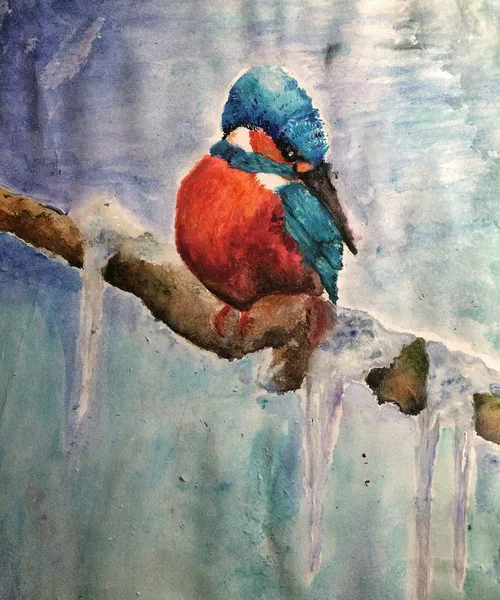 Eisvogel