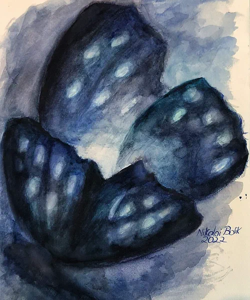 Nachtfalter II