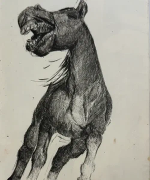 Pferd, schreiend