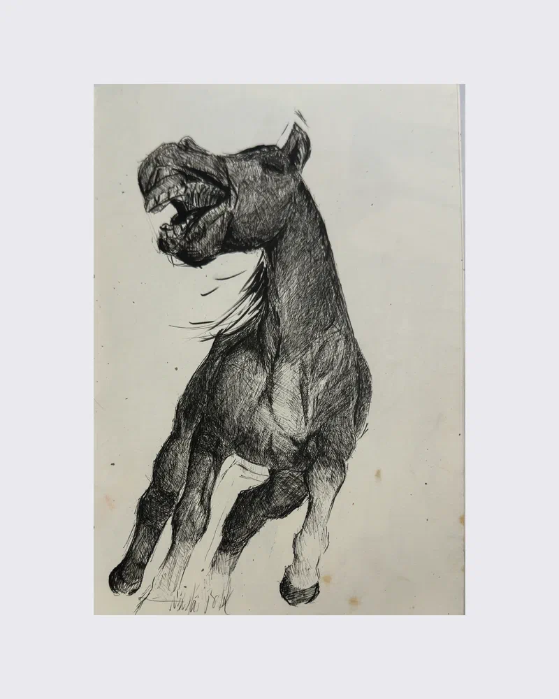 Pferd, schreiend