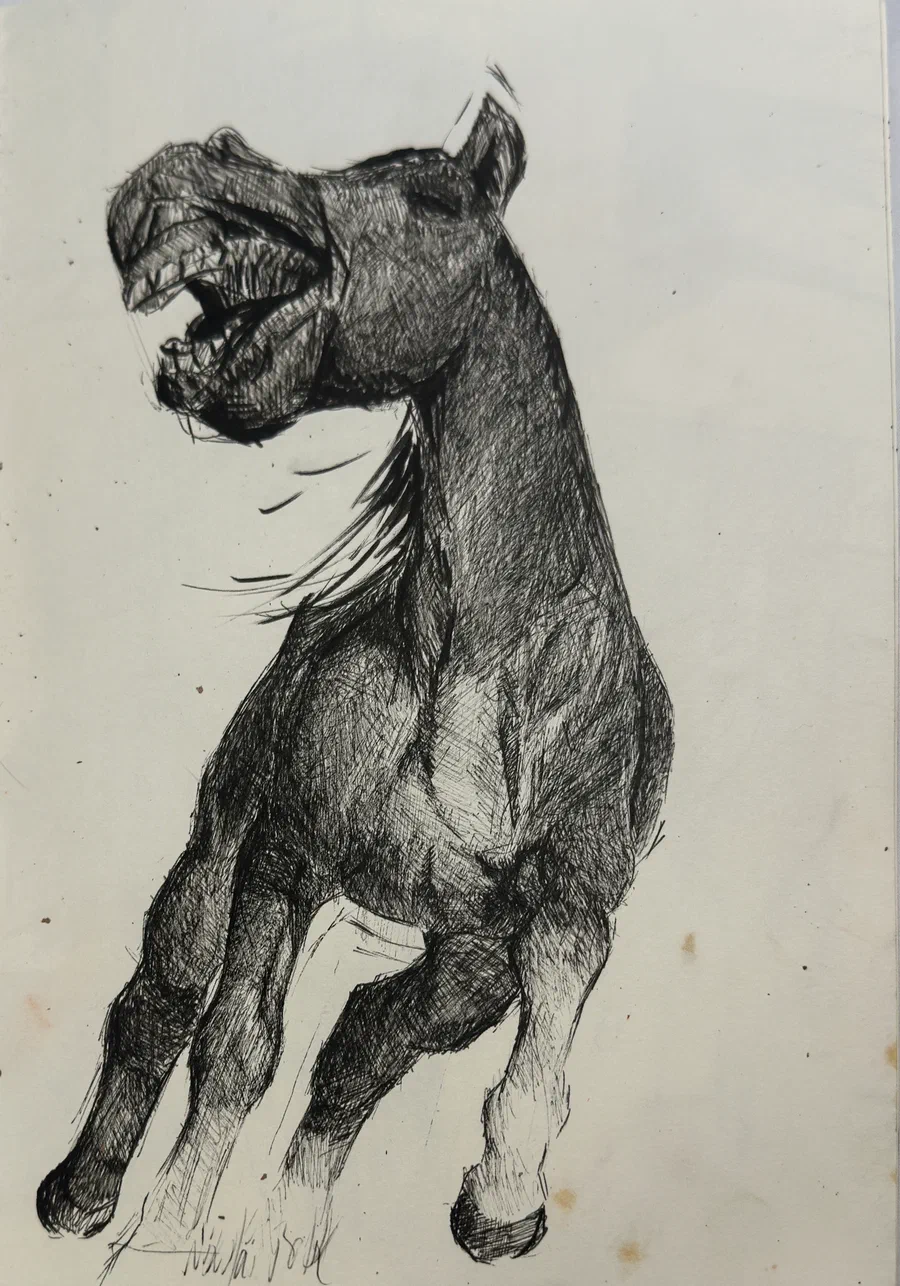 Pferd, schreiend – Bild 1