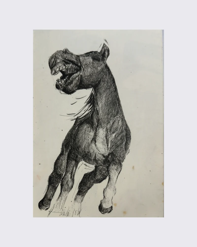 Pferd, schreiend