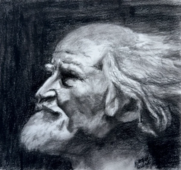 Hoffnungsschimmer – Bild 2