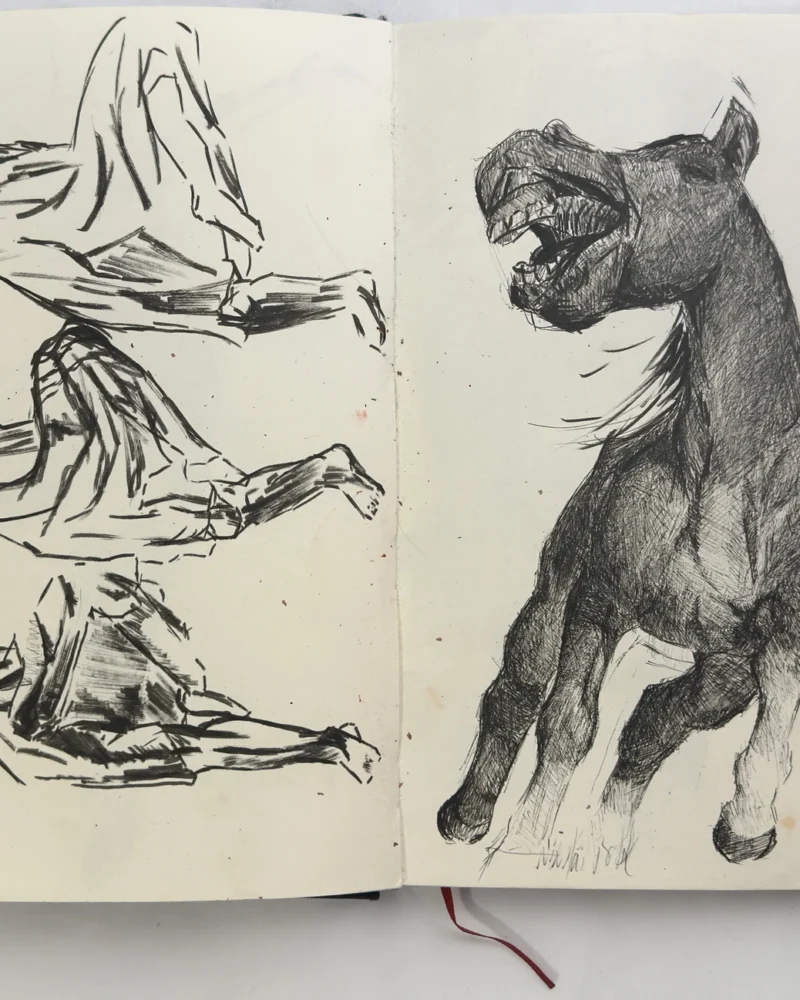 Pferd, schreiend